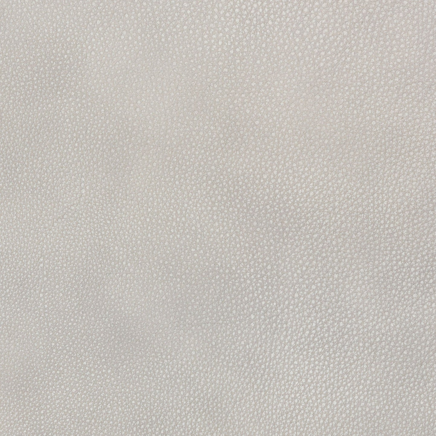 Cassiano - Slip Cover Sofa